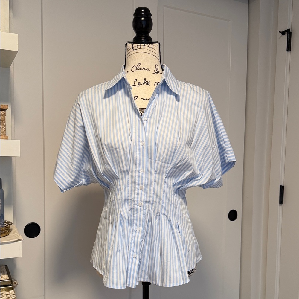 Light Blue Stripe Button-Down Peplum Shirt
